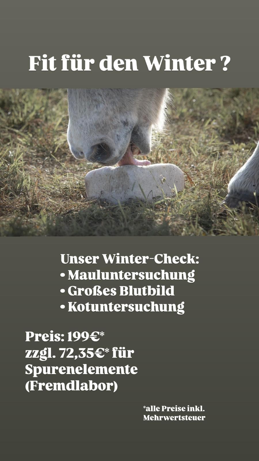 Tierarztpraxis Julian Wessling