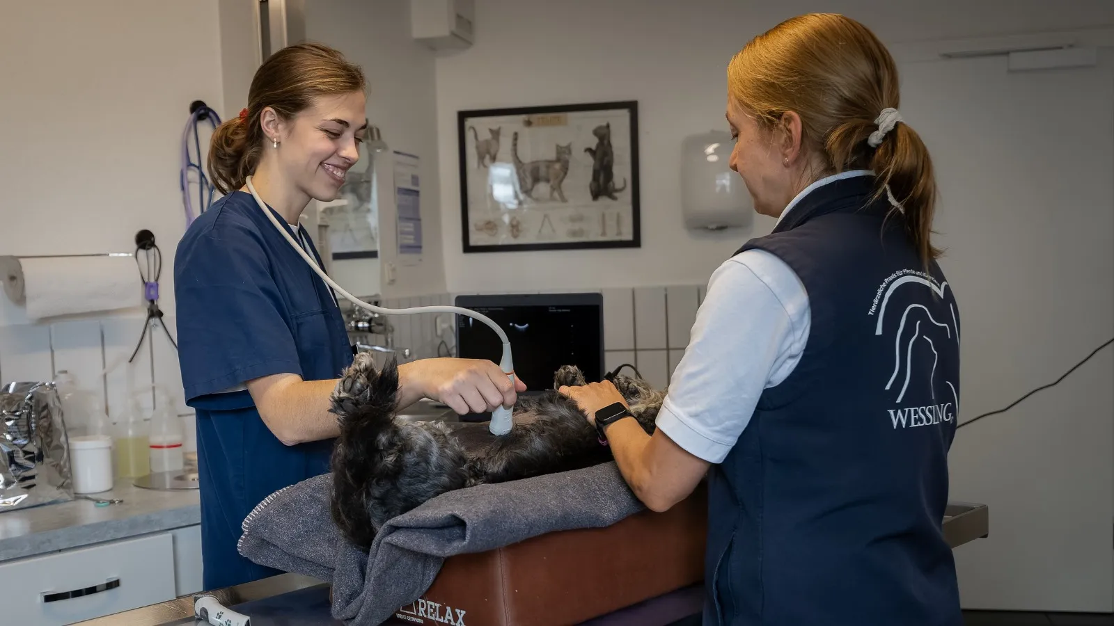 Tierarztpraxis Dr. Andreas Wessling