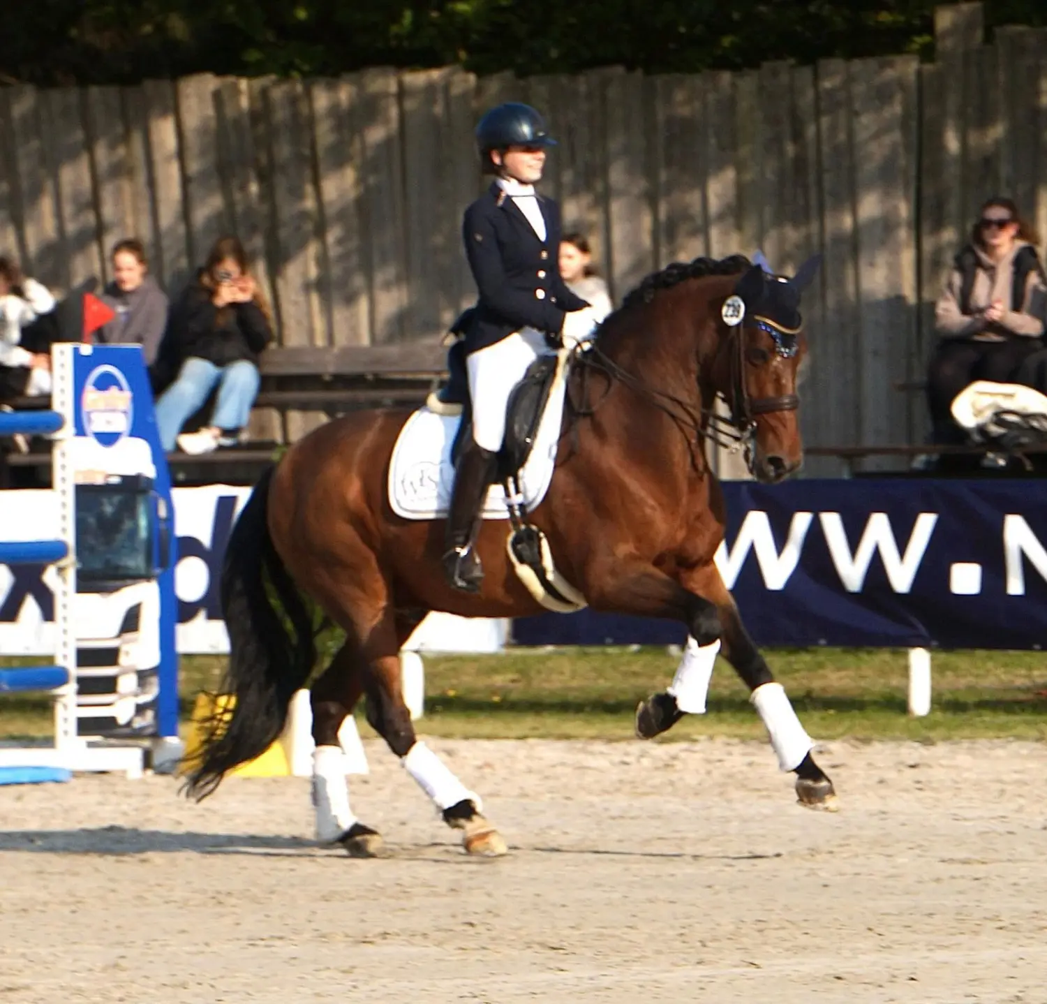 Notfälle von Tierarztpraxis Dr. Andreas Wessling