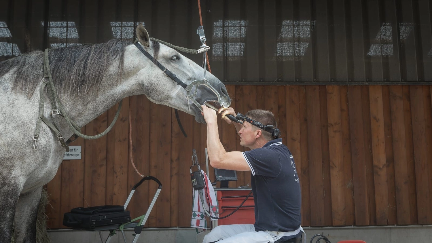 Tierarztpraxis Bergisches Land