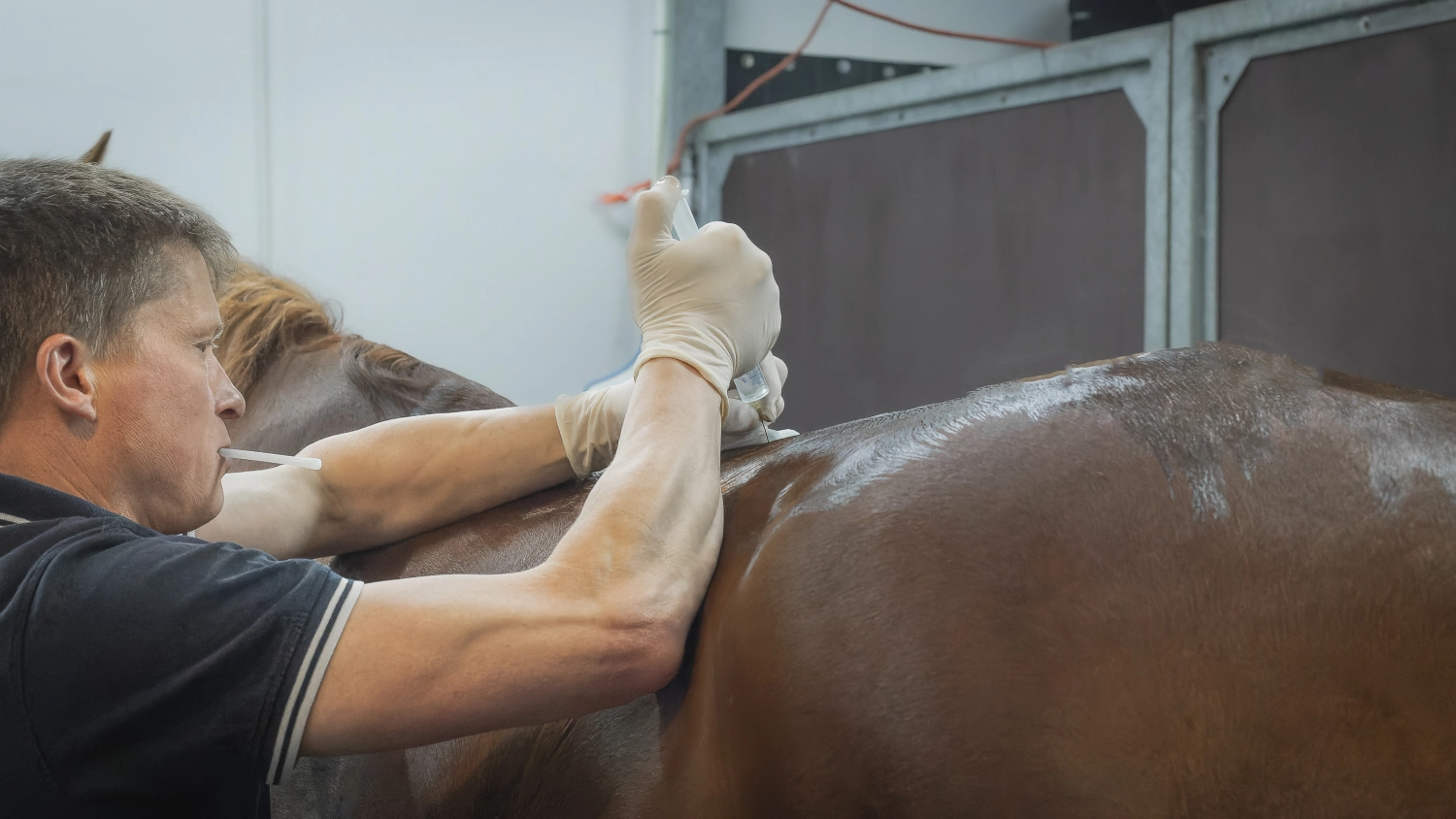 Tierarztpraxis Bergisches Land